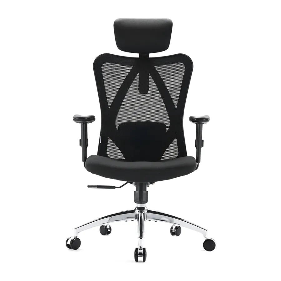 Sihoo M18, silla de oficina con cojín en W y respaldo de malla (2 de 4)