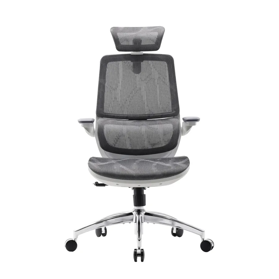 Sihoo M59AS, silla de oficina con respaldo partido y brazos 3D (2 de 4)