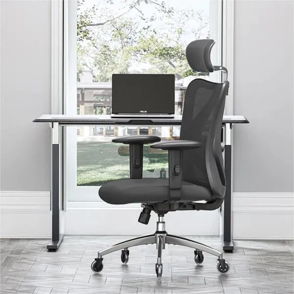 Sihoo M18, silla de oficina con cojín en W y respaldo de malla (3 de 4)