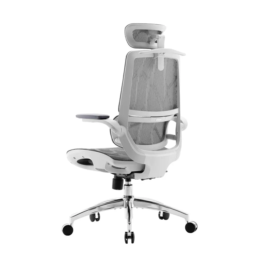 Sihoo M59AS, silla de oficina con respaldo partido y brazos 3D (4 de 4)